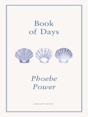 cover image of Book of Days